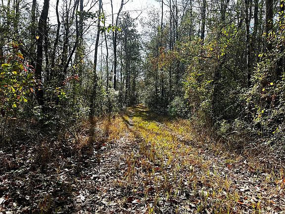 old railroad grade