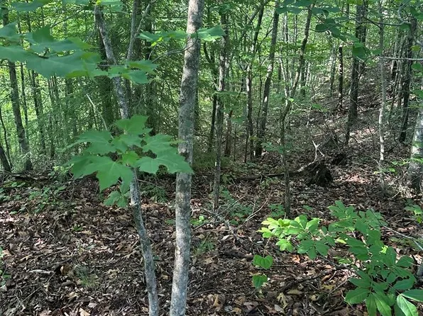 LOT 2 Buckeye Ln, Wilder, TN 38589