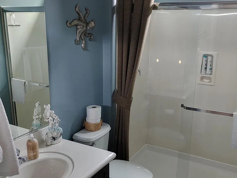 guest bathroom
