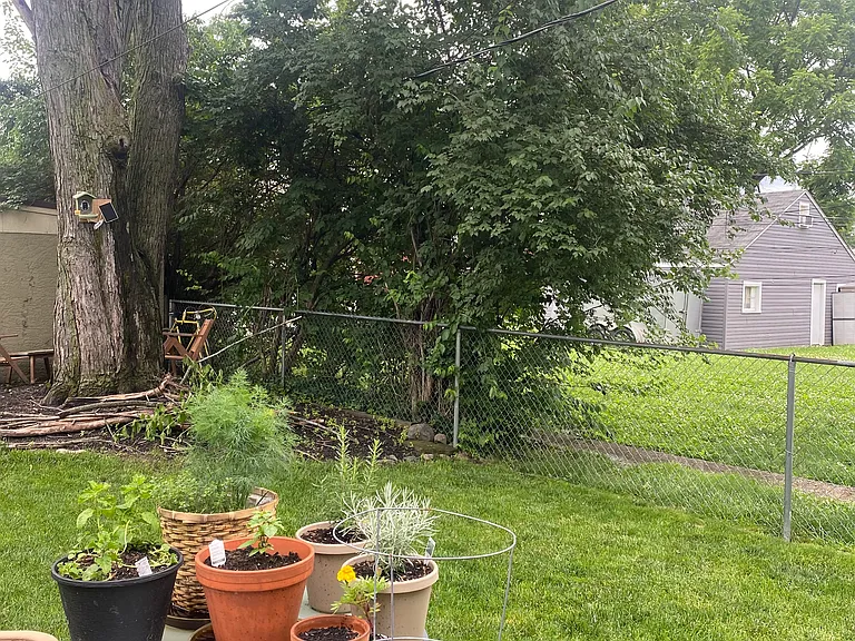 Fully fenced in back yard