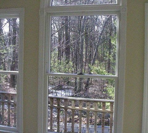 Palladium view of woods