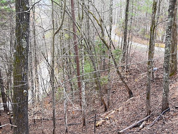 4th image of 110-2 Elks Watch