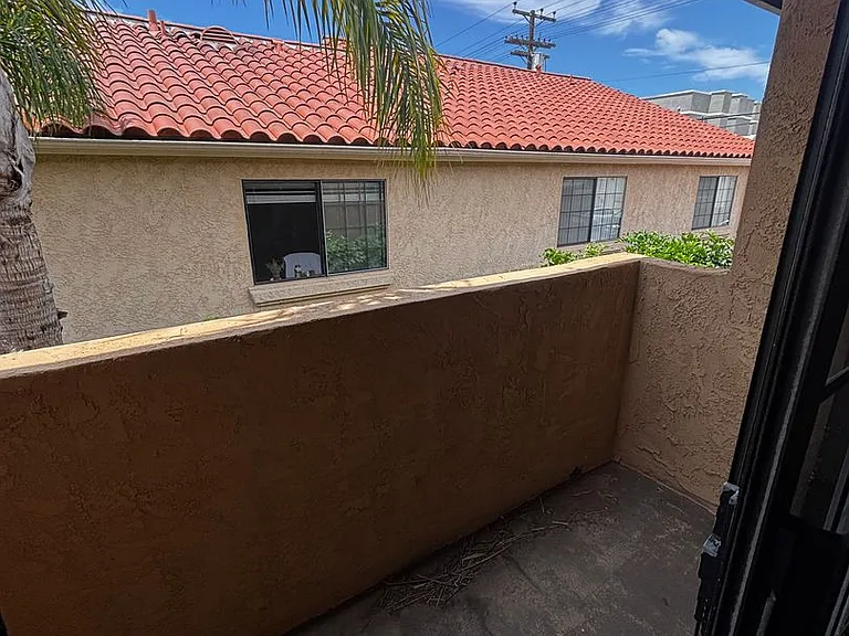 1460 Hornblend — Photo 21