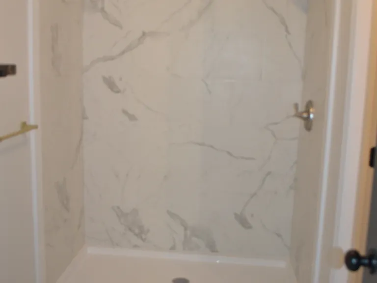 Master bath room