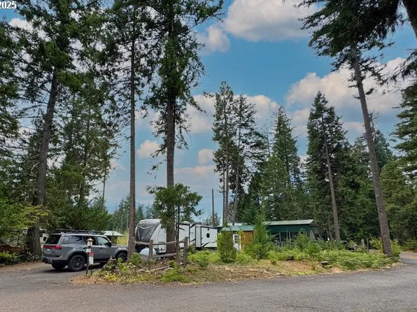 54432 McKenzie Hwy #35, Blue River, OR 97413