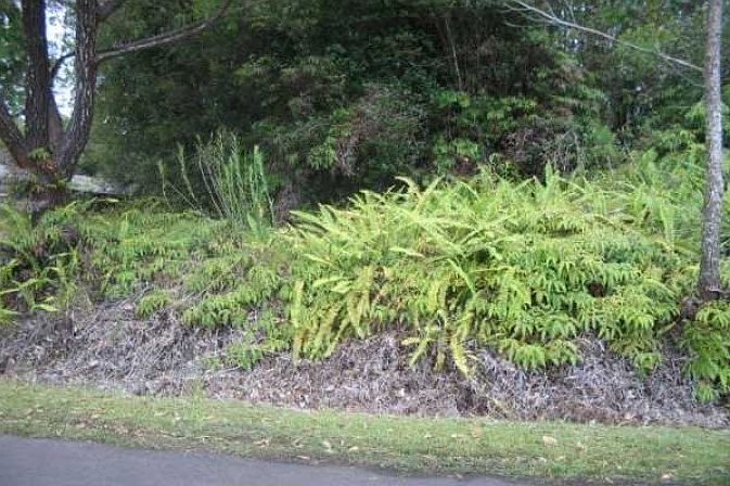 2nd image of Haumalu St Lot 97