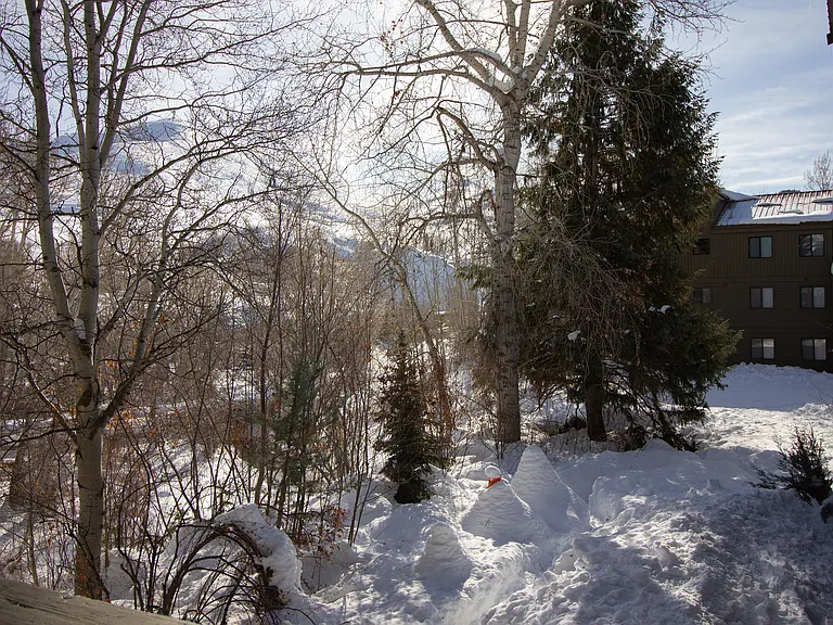 1424 Cottonwood Condominium Dr — Photo 10