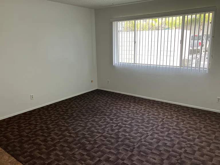 532 Olive St #528 — Photo 3