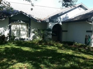 2011 Branch Tree Ln, Brandon, FL 33511