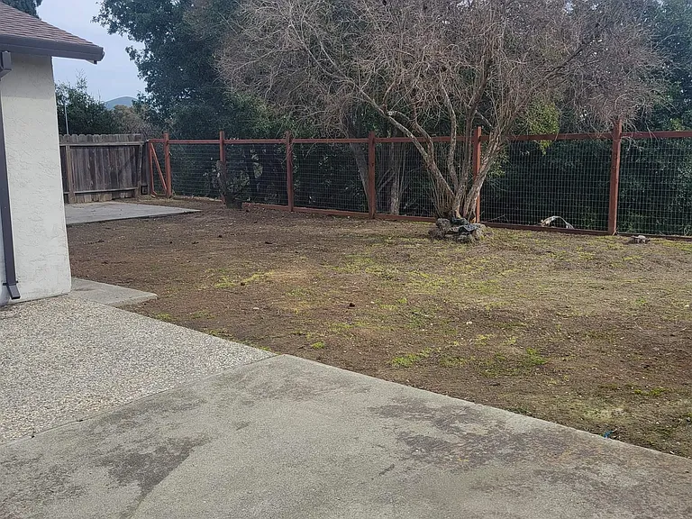 906 Coral Dr — Photo 15
