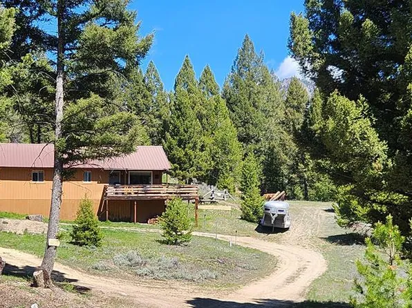 34 Grizzly Bear Rd, Salmon, ID 83467