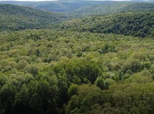 0 Elston Hill Rd, Van Etten, NY 14889