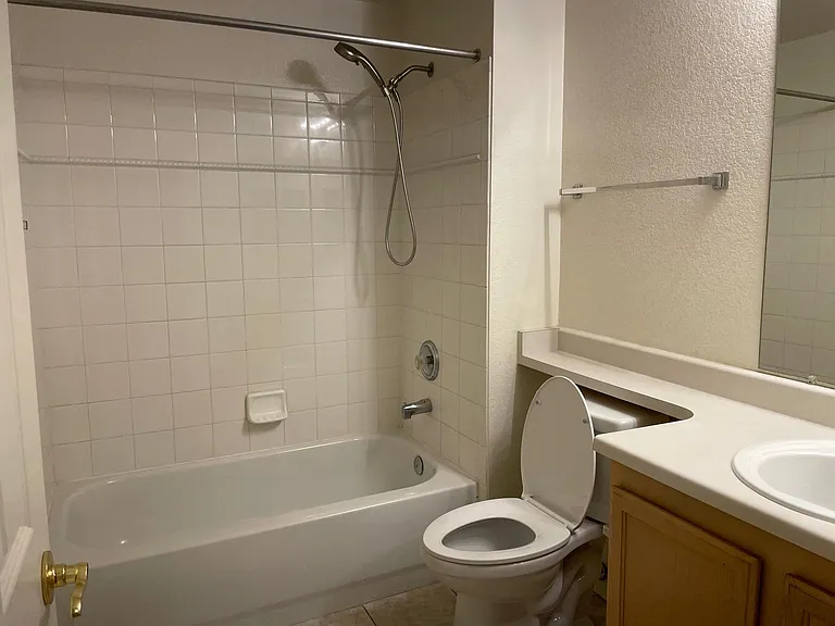 2nd Bathroom - new chair high toilet