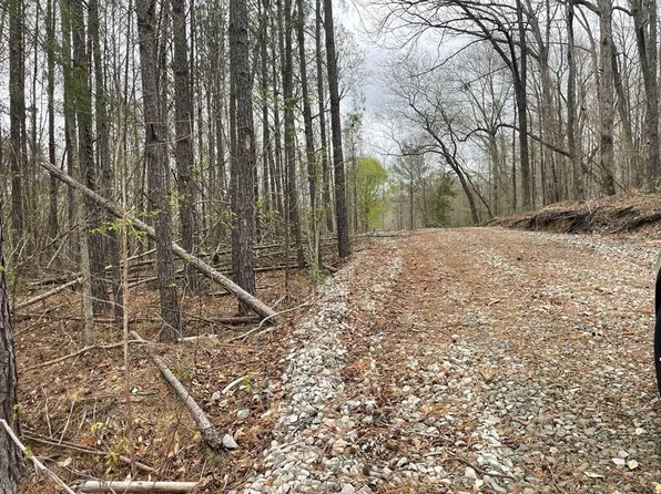 0 E County Highway 54, Guin, AL 35563