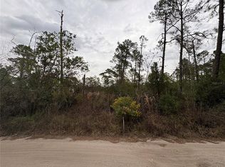 Georgia St Lot 42, Paisley, FL 32767