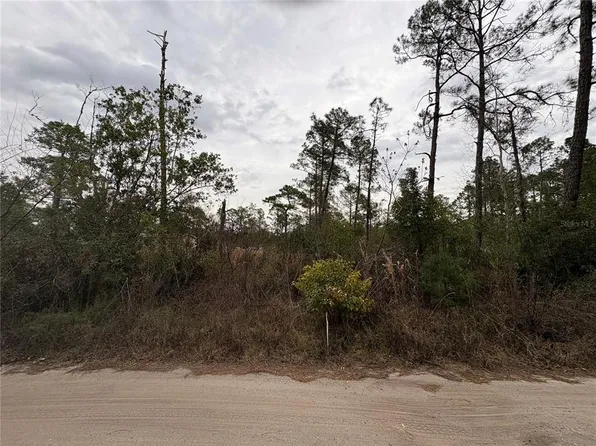 Georgia St Lot 42, Paisley, FL 32767