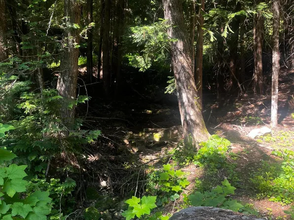 L3 S Latour Creek Rd, Cataldo, ID 83810
