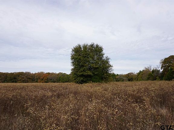 3rd image of 2 County Road 1316