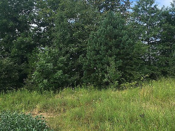 Rear view of property 