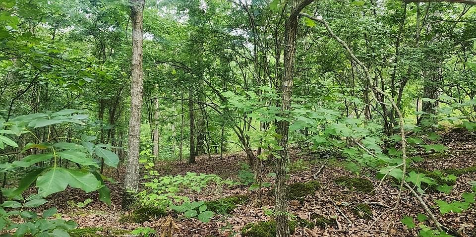 1st image of Id06 Wild Acres Rd