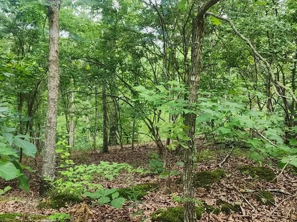 Id06 Wild Acres Rd, Holladay, TN 38341