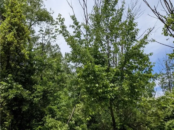 0 Frazier Rd, Erie, PA 16510