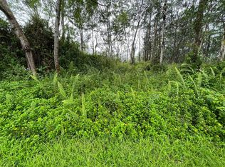 Shell Cir LOT 813, Pahoa, HI 96778