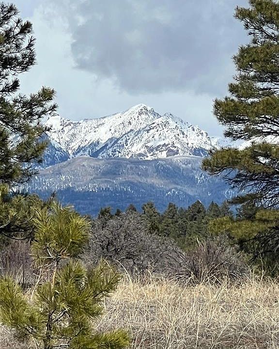 1st image of 8 Shelter Place