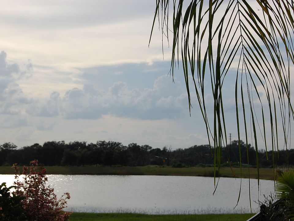 Back Yard View