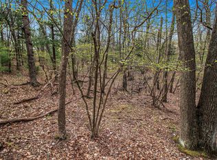 N Silver Ridge Rd, Mears, MI 49436