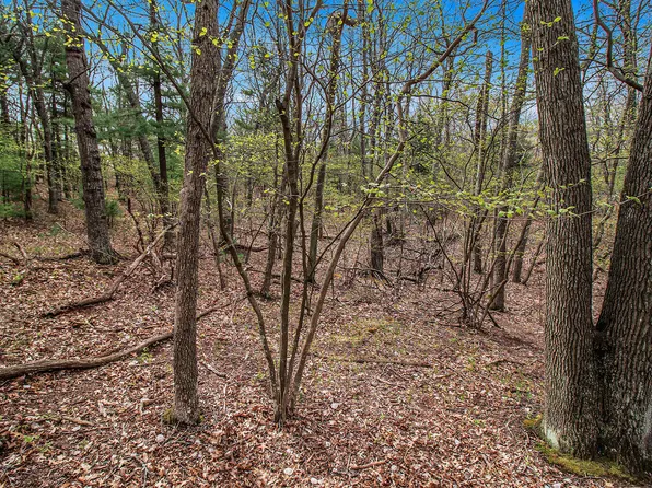 N Silver Ridge Rd, Mears, MI 49436