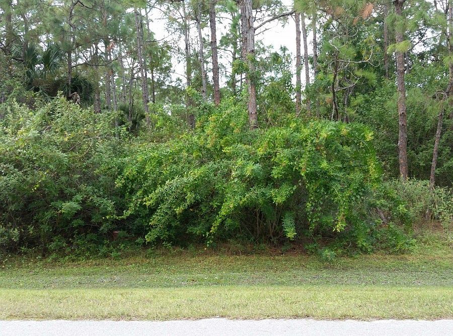 2nd image of 25546 Luci Dr