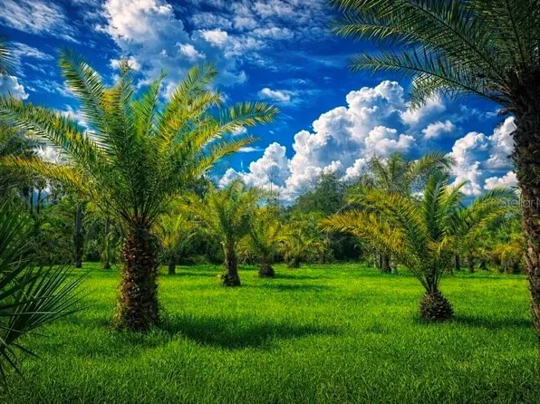 2615 Glencoe Farms Rd #10, New Smyrna Beach, FL 32168