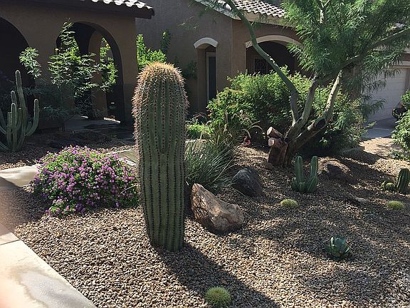 4th image of 40825 N Citrus Canyon Trl