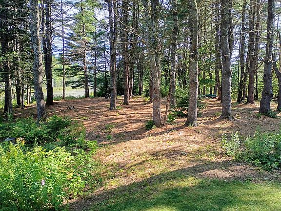 5th image of 495 Dahlia Farm Road
