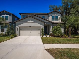 14146 Samoa Hill Ct, Riverview, FL 33569