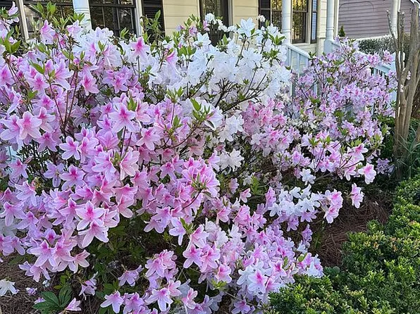 2041 Two Springs Way, Lawrenceville, GA 30043