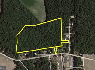PARCEL 74.00 Mount Joy Rd, Millsboro, DE