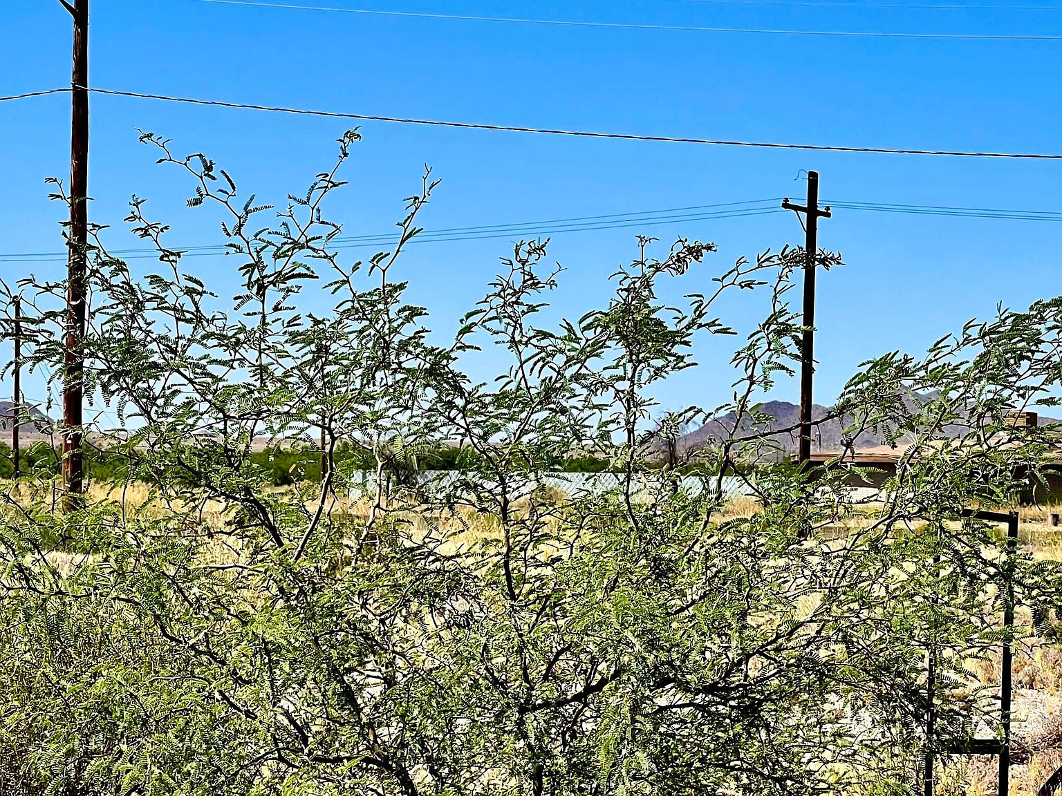 25350 W McNary Dr, Casa Grande, AZ 85193 Zillow