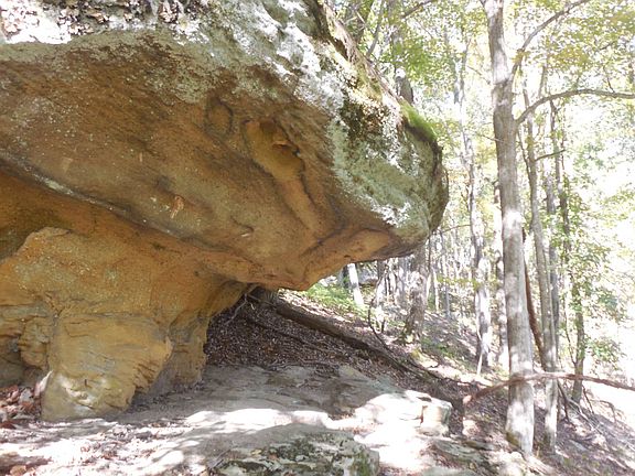 50th image of this home