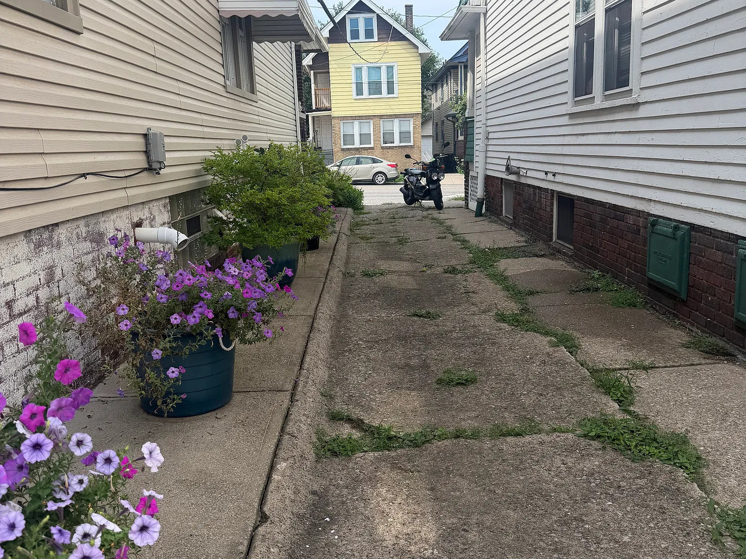Studio, 650 sqft, $1,100 — Photo 3