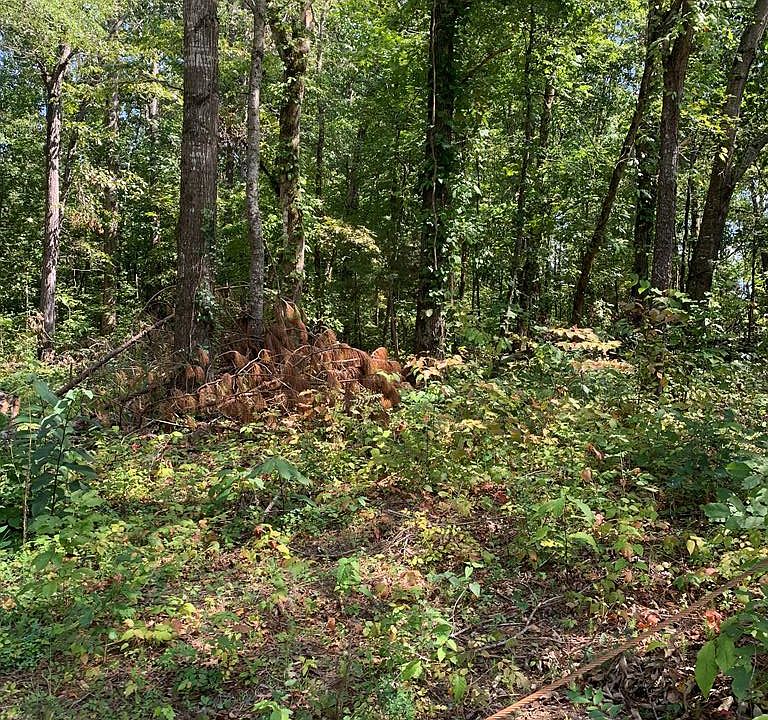 1st image of 0 Highway 411 Rd S