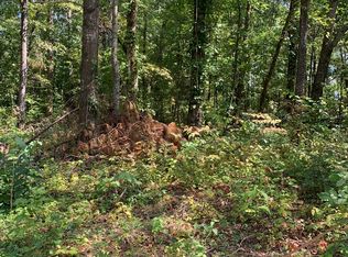 0 Highway 411 Rd S, Chatsworth, GA 30705