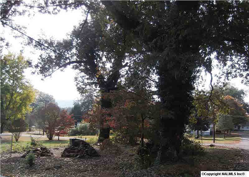 1st image of 119 Church Ave