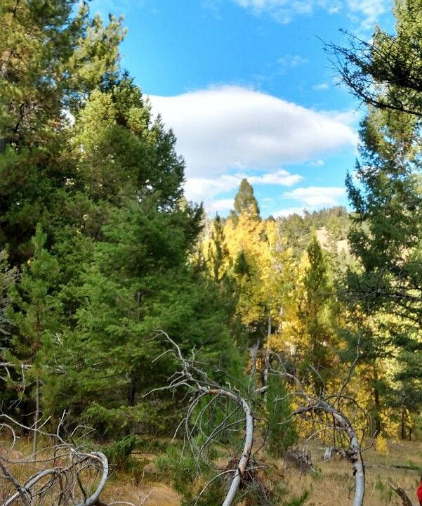 1st image of Nhn Hoover Creek Rd
