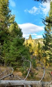 Nhn Hoover Creek Rd, Helmville, MT, 59843