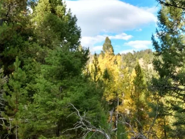 Nhn Hoover Creek Rd, Helmville, MT 59843