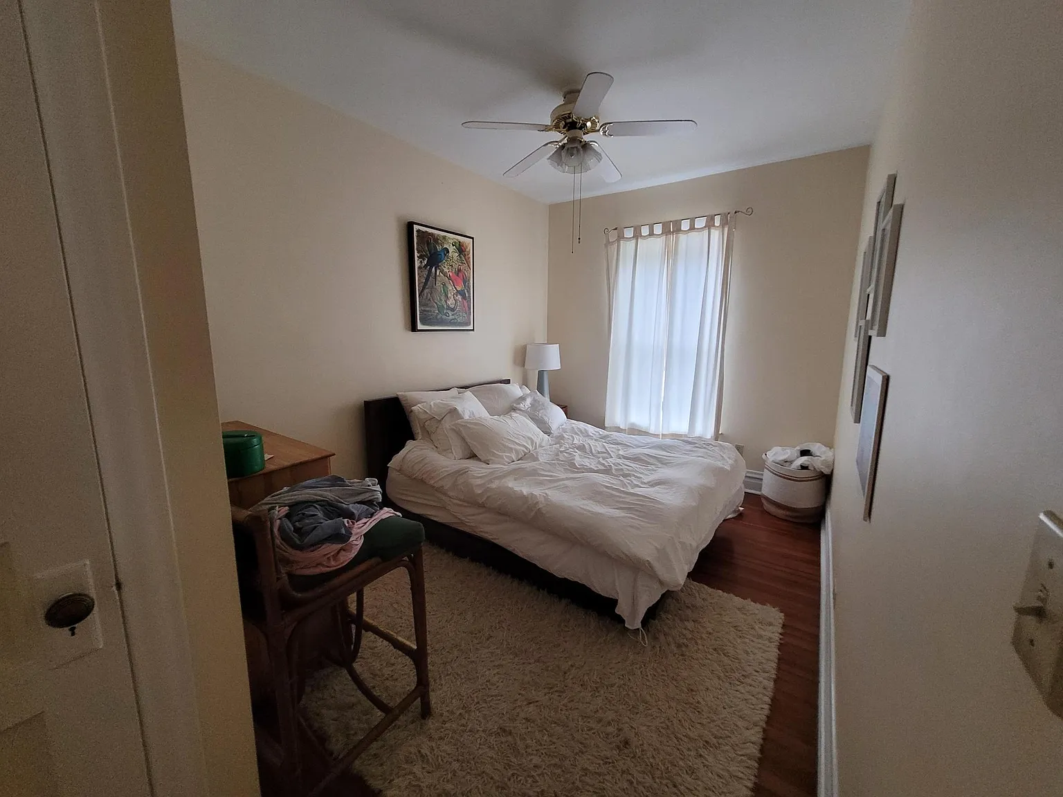 1 bed, 950 sqft, $1,795 — Photo 4
