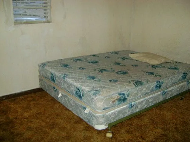 1 bed, 800 sqft, $695 — Photo 2