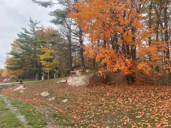 2943 County Road 36, Trent Lakes, ON K0L 1J0